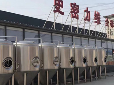 江门精酿啤酒设备厂—市场规模与跨界新需求